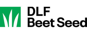 DLF Beet Seed